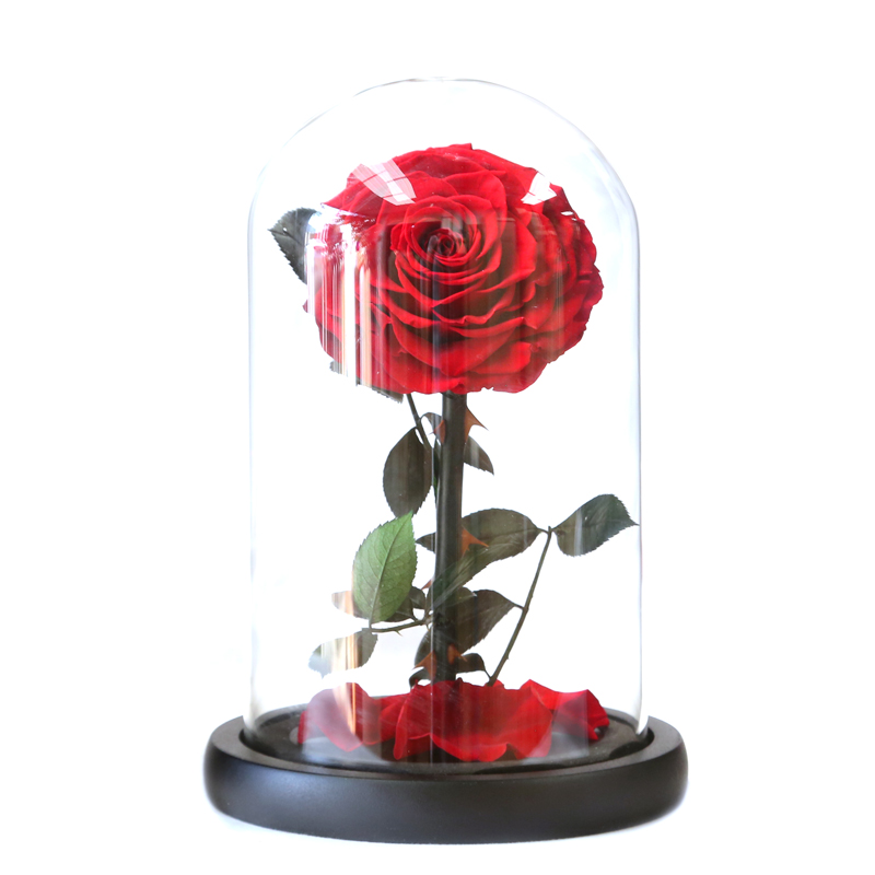 preserved-rose-in-vase
