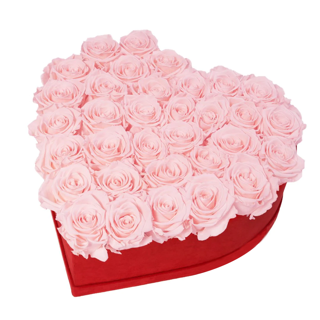 pink rose in heart box